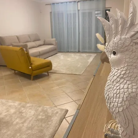 Ocean View 아파트